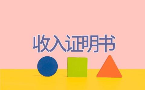 收入证明书插图