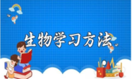 生物学习方法：构建完整的知识网络缩略图