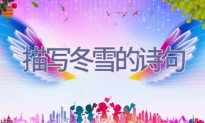 描写冬雪的诗句缩略图